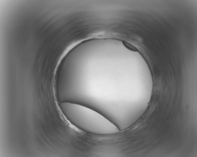X0000062641486200512210954