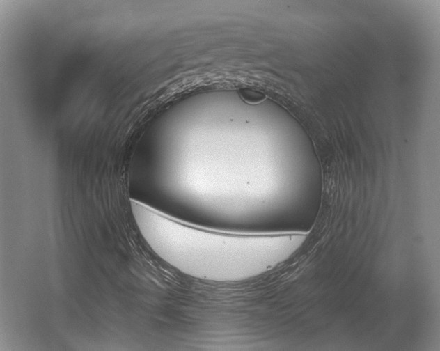 X0000062641490200512210953