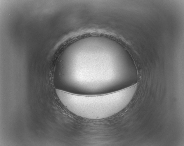 X0000062641495200512210953