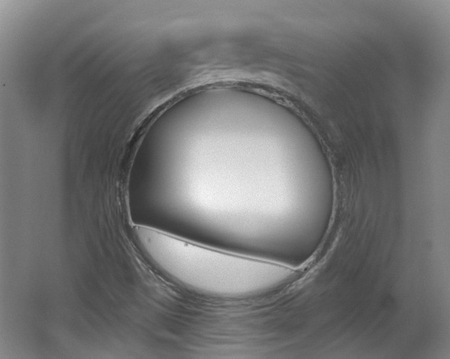 X0000062641497200512210953