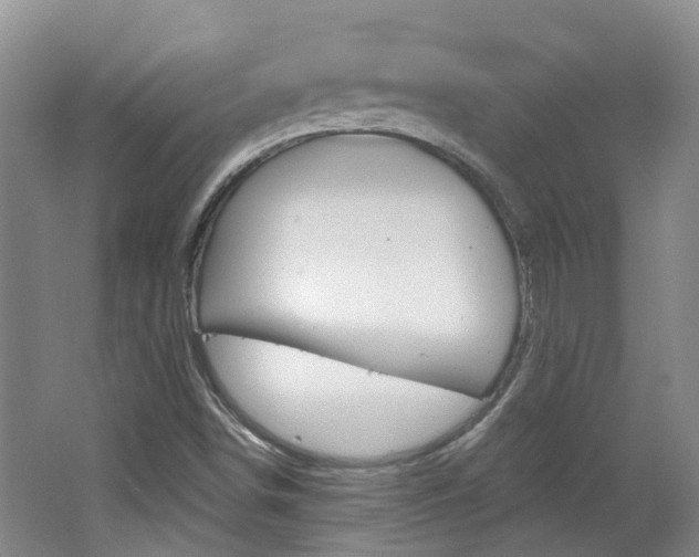 X0000062641498200512210953
