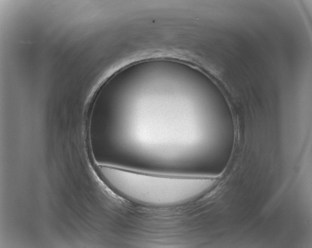 X0000062641500200512210953
