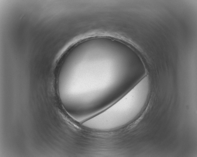 X0000062641502200512210953