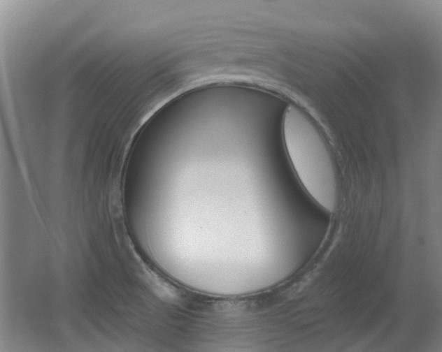 X0000062641521200512210954