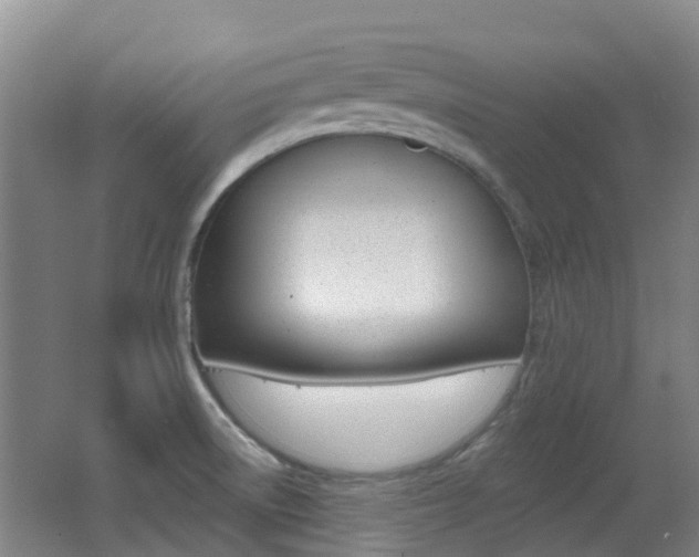 X0000062641522200512210954