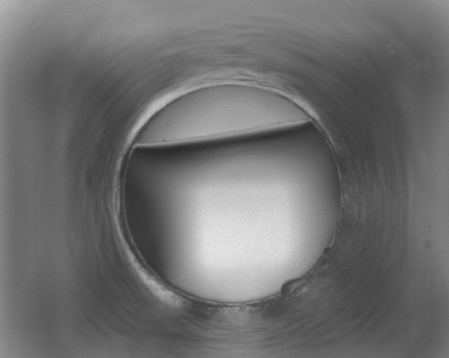 X0000062641523200512210954
