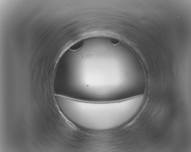 X0000062641529200512210954