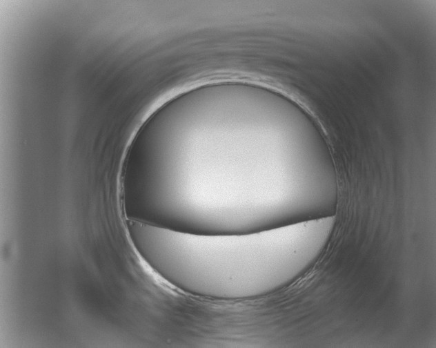X0000062641535200512210954