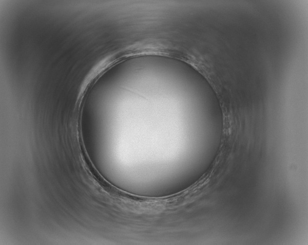 X0000062640004200512211217