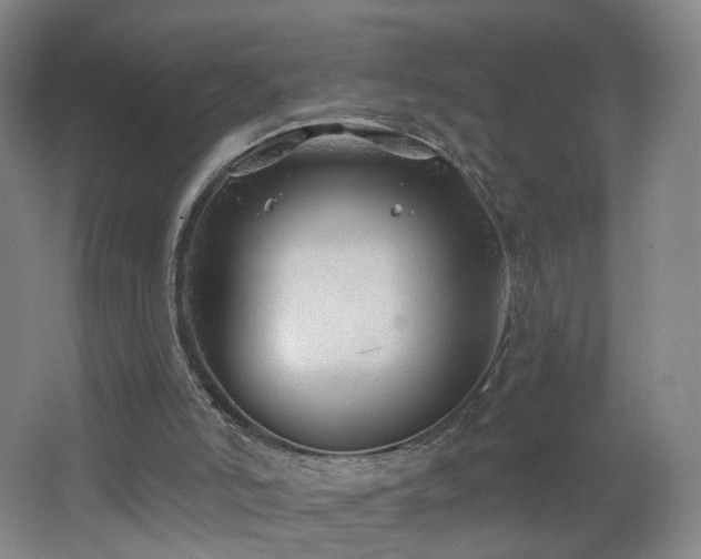 X0000062640006200512211217