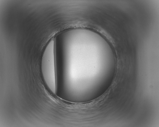 X0000062640009200512211217