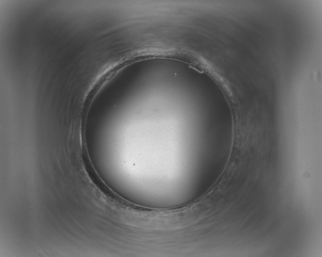 X0000062640011200512211217