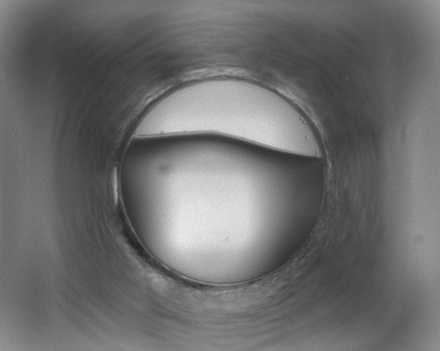 X0000062640013200512211217