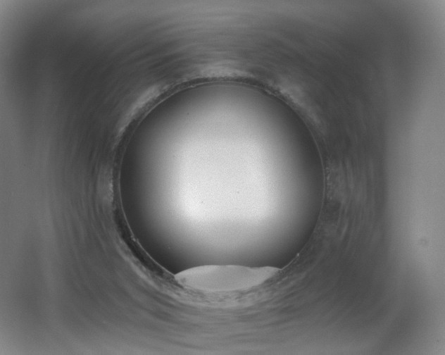 X0000062640015200512211217