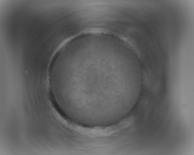 X0000062640016200512211216