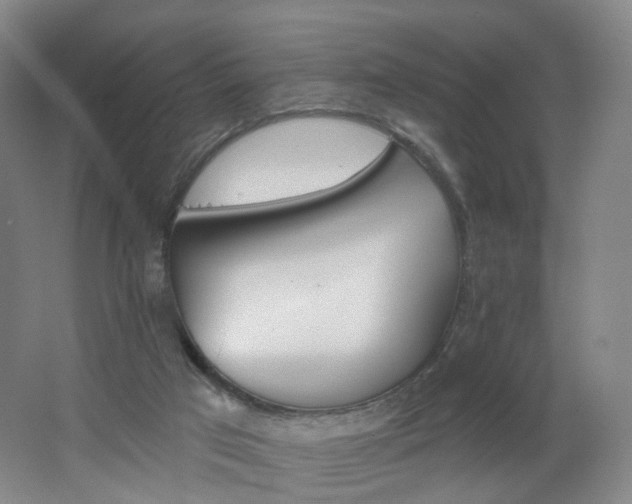 X0000062640017200512211216