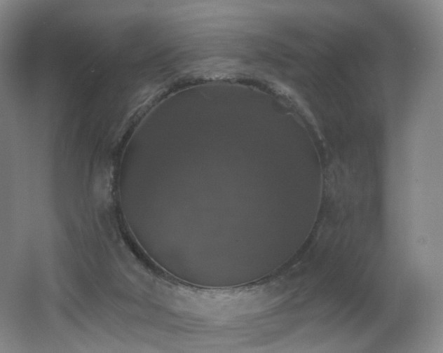 X0000062640018200512211216