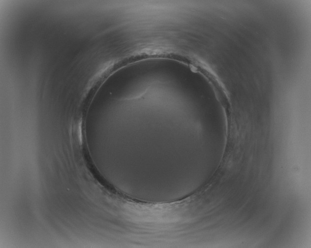 X0000062640019200512211216