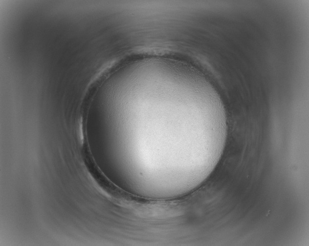 X0000062640020200512211216