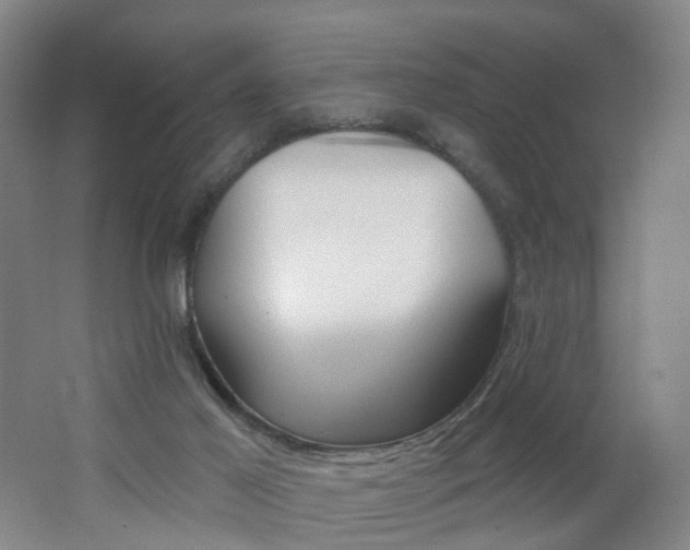 X0000062640021200512211216