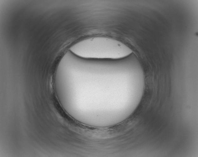 X0000062640024200512211216