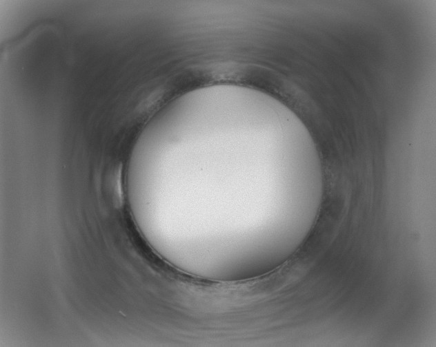 X0000062640028200512211216