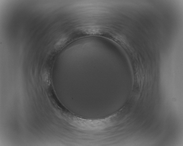 X0000062640031200512211216