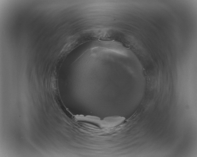 X0000062640035200512211216