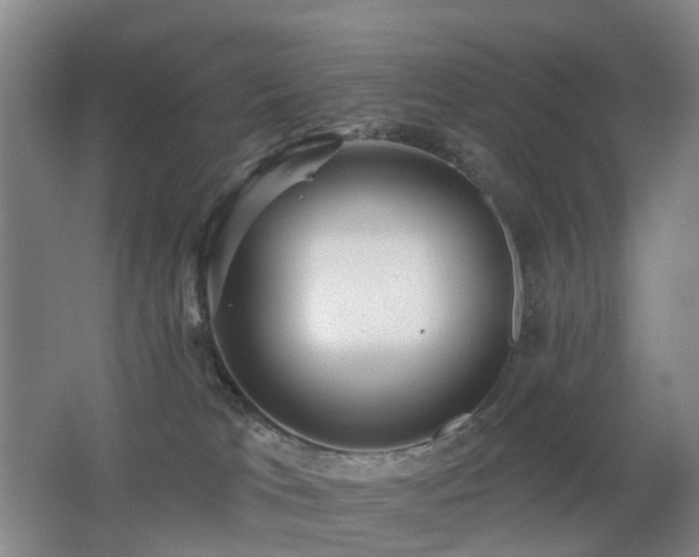 X0000062640037200512211216