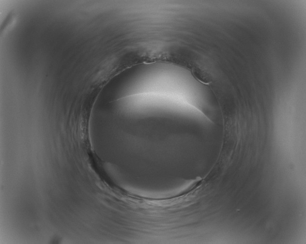X0000062640039200512211216