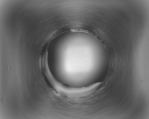 X0000062640041200512211216