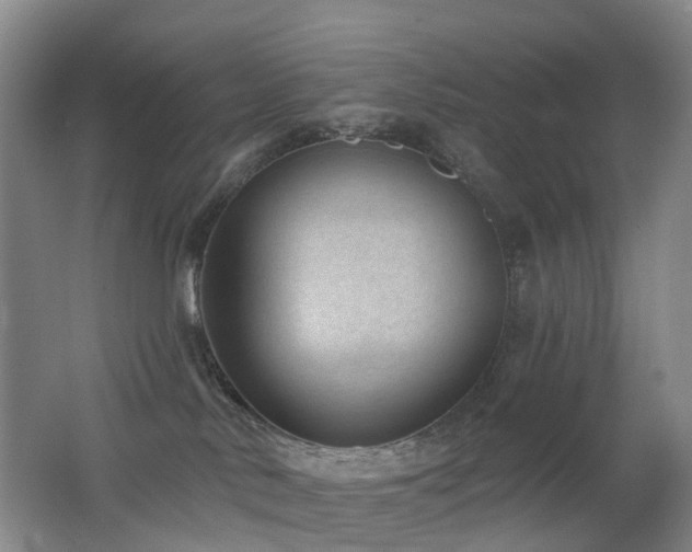 X0000062640042200512211216