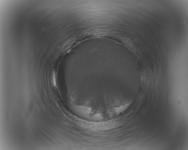 X0000062640046200512211216