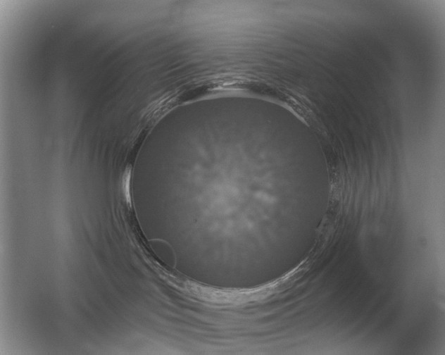 X0000062640047200512211216