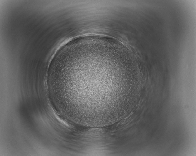 X0000062640050200512211215