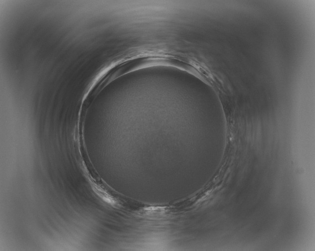 X0000062640052200512211215