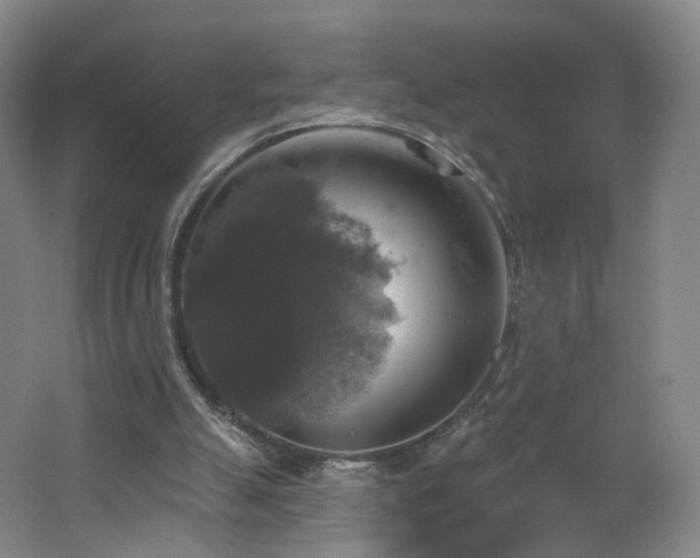X0000062640055200512211215