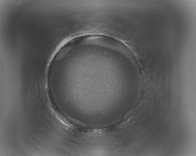 X0000062640056200512211215