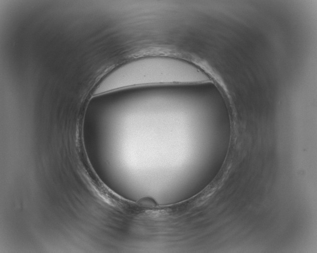 X0000062640057200512211215