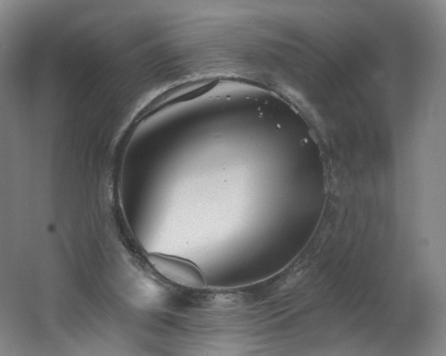 X0000062640060200512211215