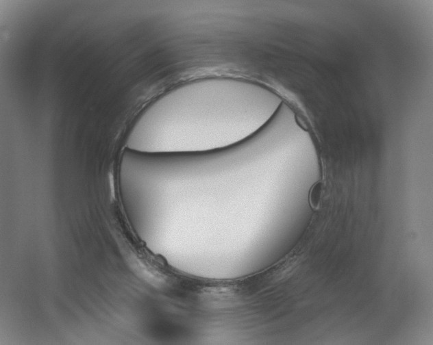 X0000062640061200512211215