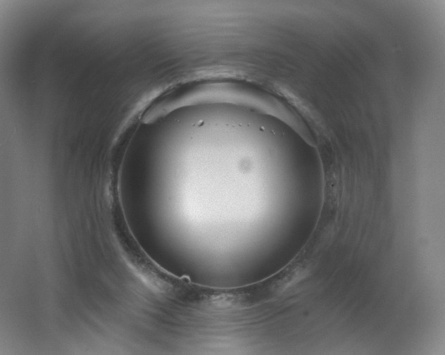 X0000062640064200512211215