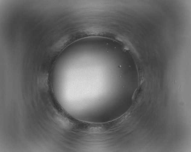 X0000062640066200512211215