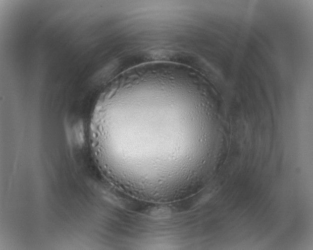 X0000062640075200512211216