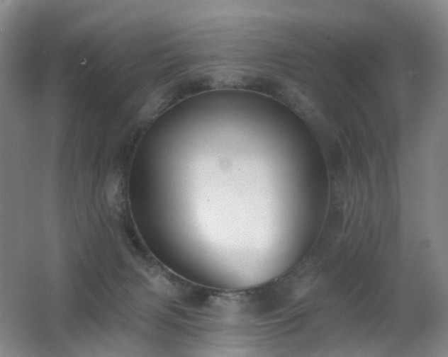 X0000062640079200512211216
