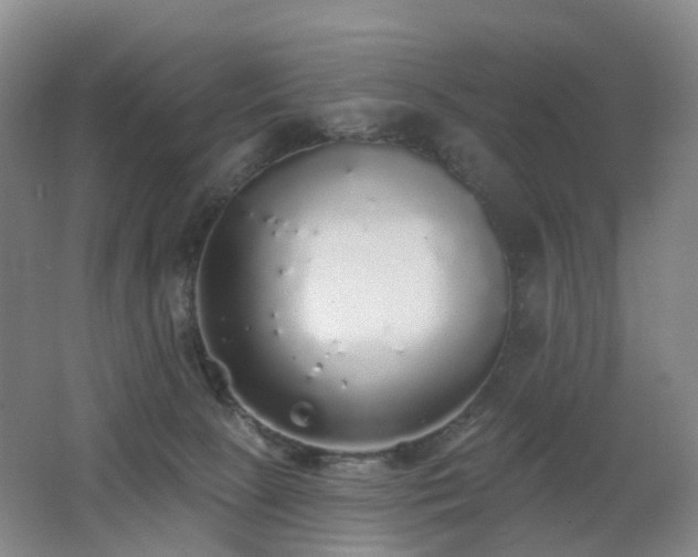 X0000062640081200512211216