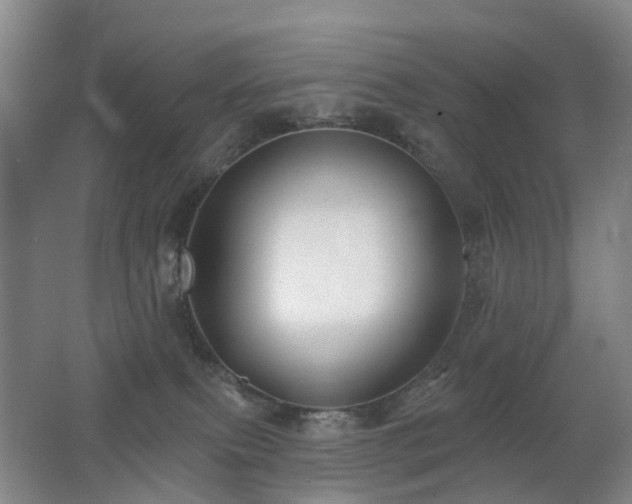 X0000062640087200512211216