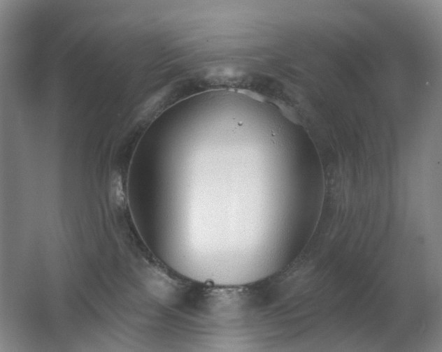 X0000062640089200512211216