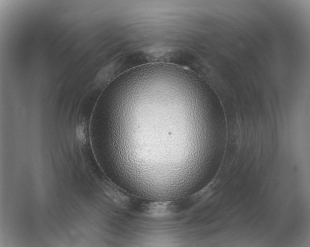 X0000062640090200512211216