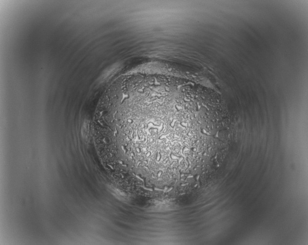 X0000062640093200512211216